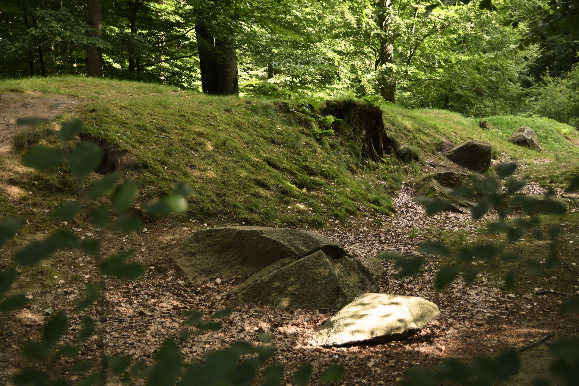 Führungen durch den Steinzeitpark und den Steinzeitwald