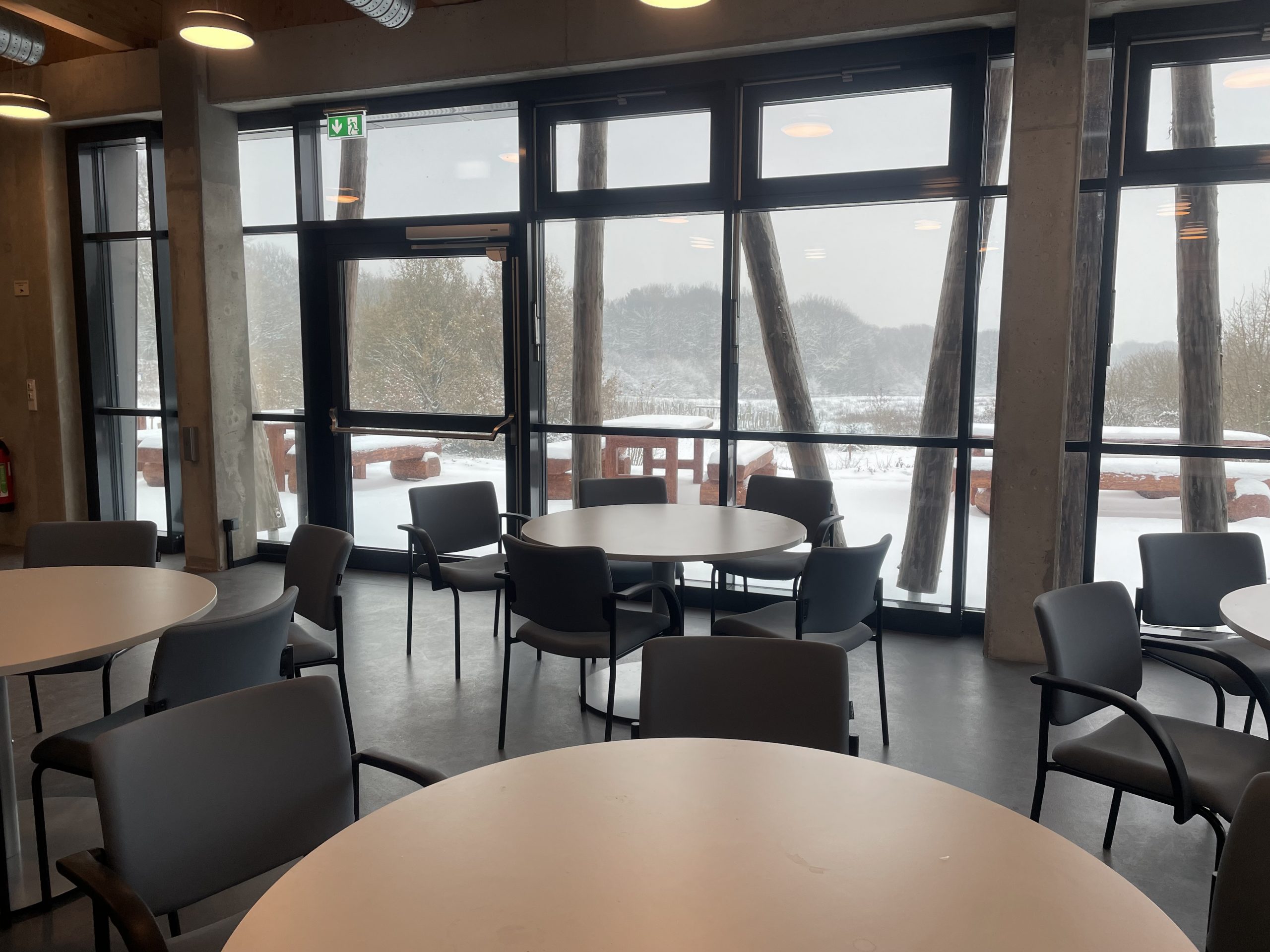 Lehrerfortbildung (über das IQSH)