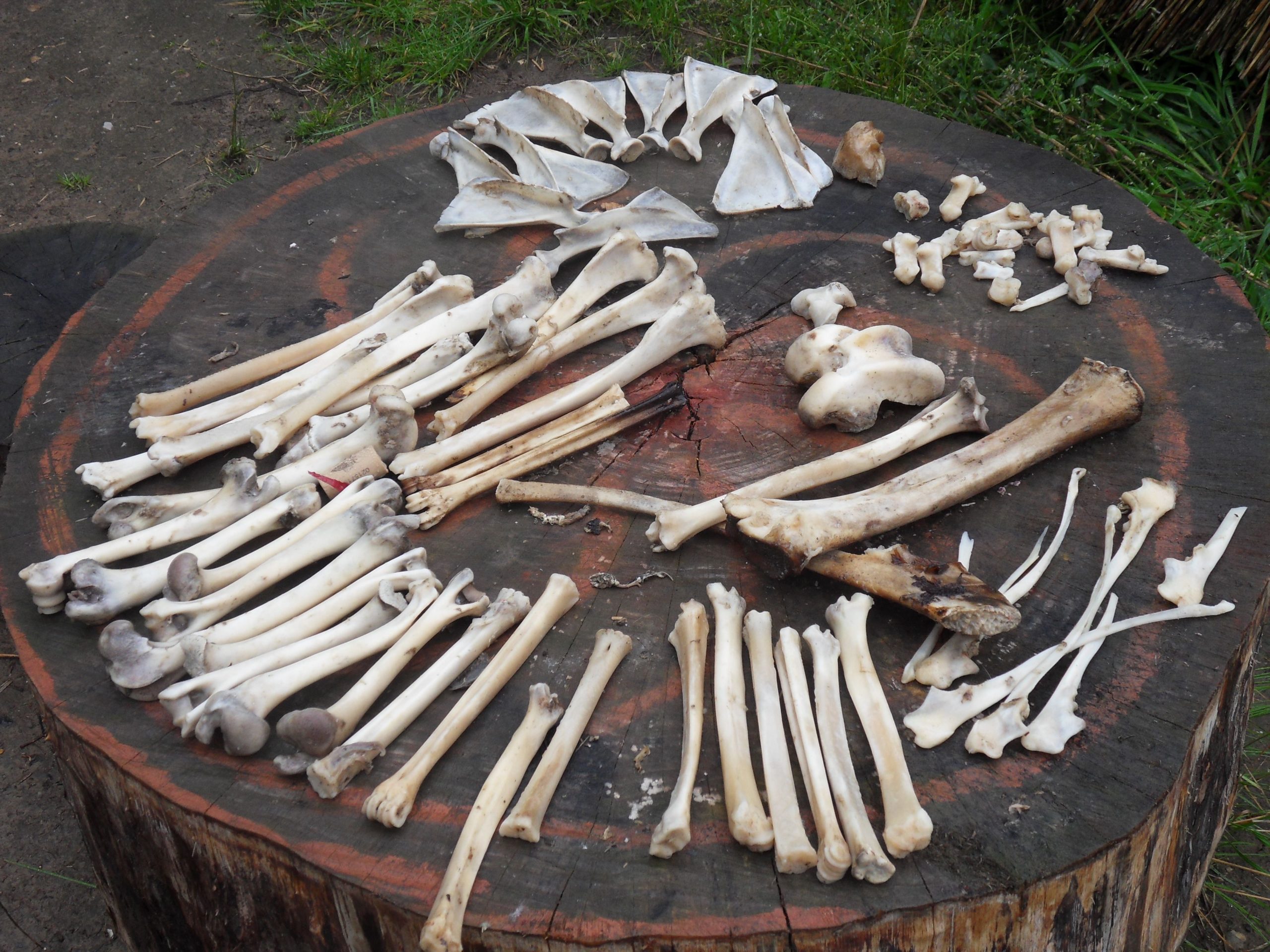 Sonderaustellung „Alles bleibt anders – Transformationsprozesse in Raum und Zeit“