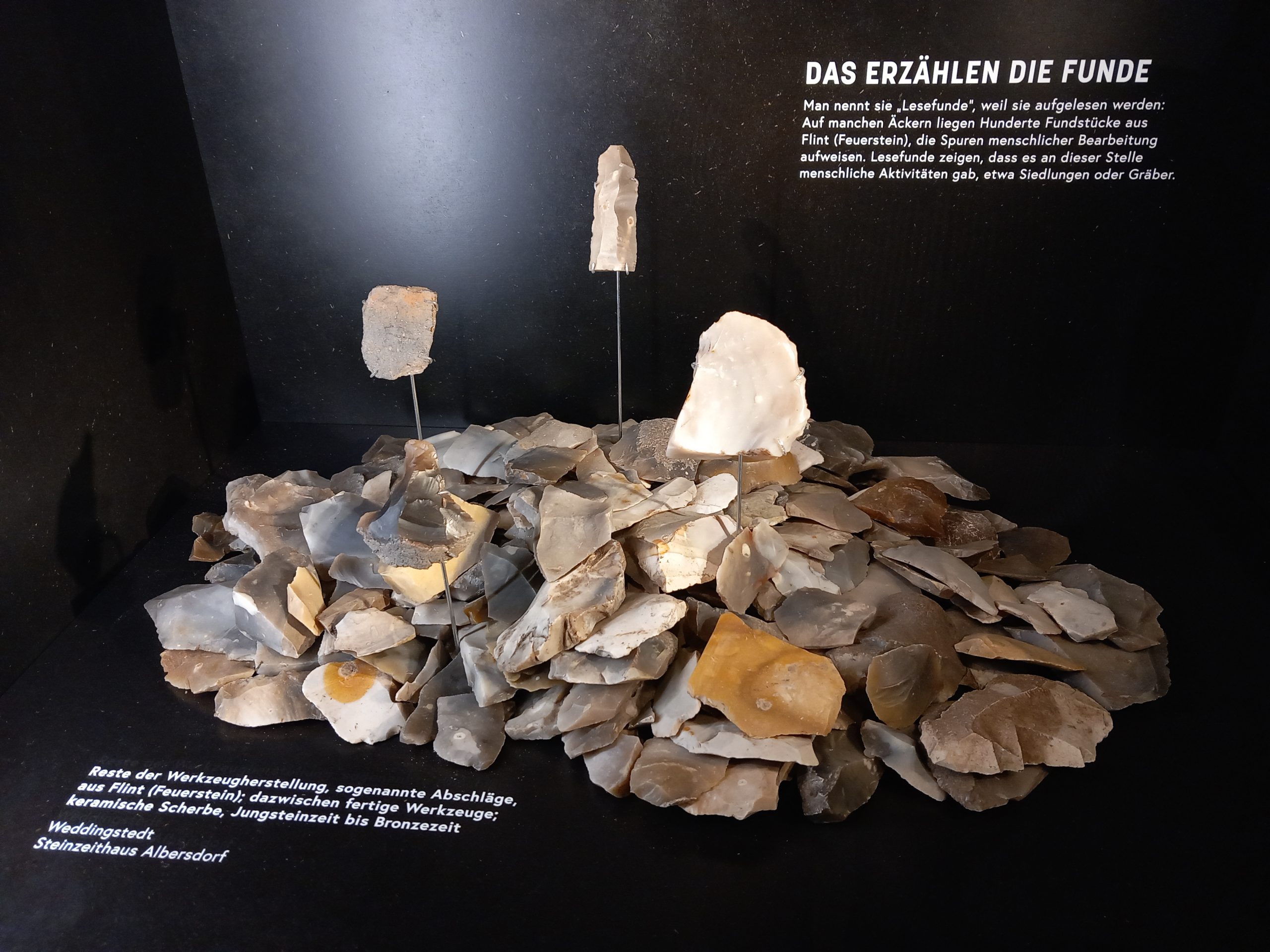 Führungen durch die Dauerausstellung „Steinzeit in Schleswig-Holstein“